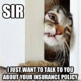 Insurance Humour